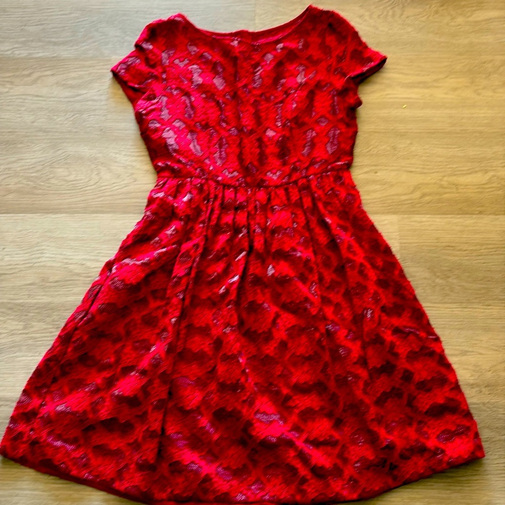 Anthropologie Scarlet Lace Mini Dress